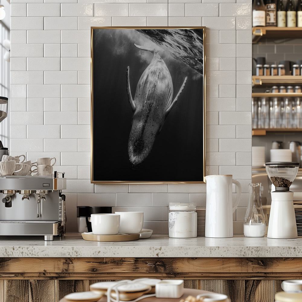 Black & Whale Poster